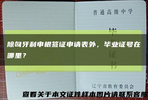 除匈牙利申根签证申请表外，毕业证号在哪里？缩略图