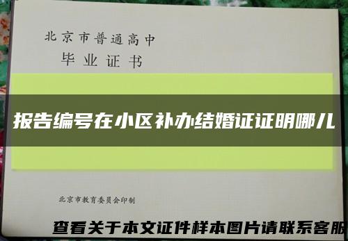 报告编号在小区补办结婚证证明哪儿缩略图