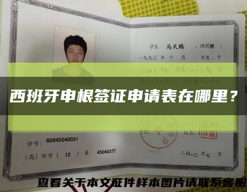 西班牙申根签证申请表在哪里？缩略图