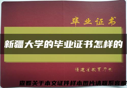 新疆大学的毕业证书怎样的缩略图