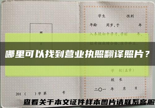 哪里可以找到营业执照翻译照片？缩略图