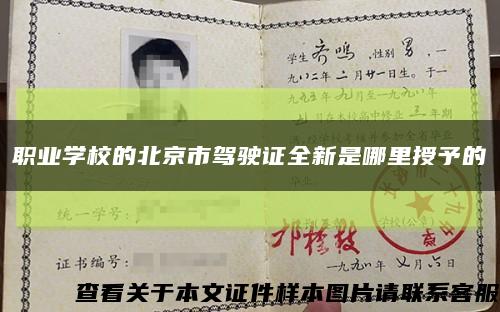 职业学校的北京市驾驶证全新是哪里授予的缩略图
