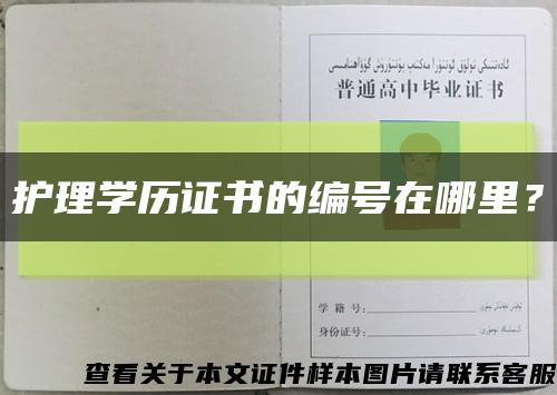 护理学历证书的编号在哪里？缩略图