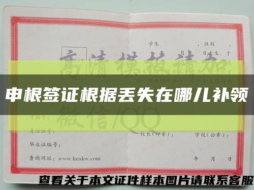 申根签证根据丢失在哪儿补领缩略图