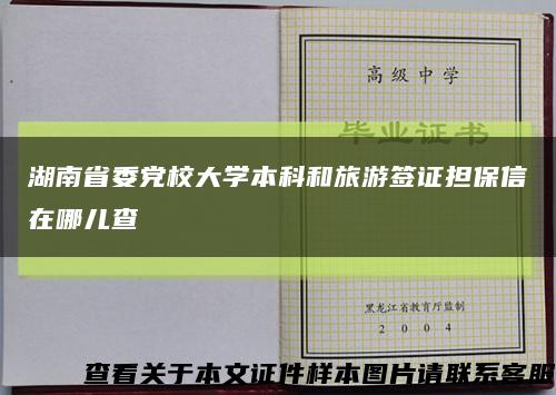 湖南省委党校大学本科和旅游签证担保信在哪儿查缩略图