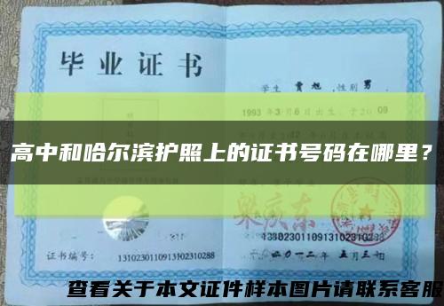 高中和哈尔滨护照上的证书号码在哪里？缩略图