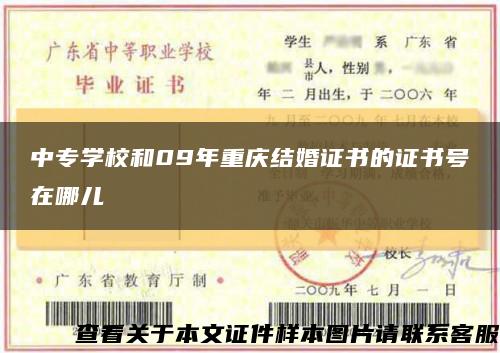 中专学校和09年重庆结婚证书的证书号在哪儿缩略图