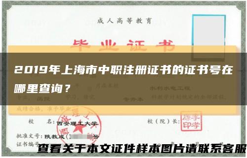 2019年上海市中职注册证书的证书号在哪里查询？缩略图