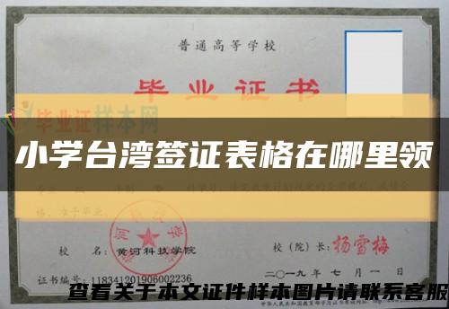 小学台湾签证表格在哪里领缩略图