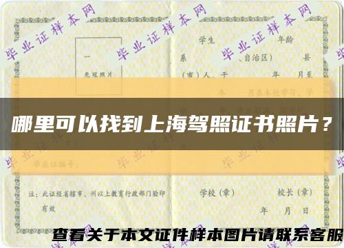 哪里可以找到上海驾照证书照片？缩略图