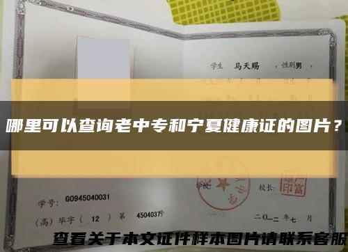哪里可以查询老中专和宁夏健康证的图片？缩略图