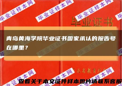青岛黄海学院毕业证书国家承认的报告号在哪里？缩略图
