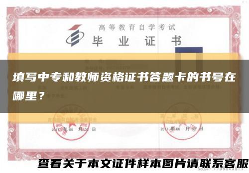 填写中专和教师资格证书答题卡的书号在哪里？缩略图