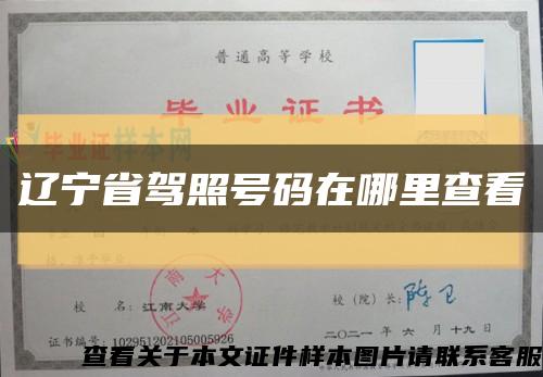 辽宁省驾照号码在哪里查看缩略图