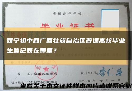 西宁初中和广西壮族自治区普通高校毕业生登记表在哪里？缩略图