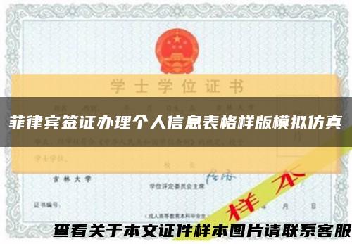 菲律宾签证办理个人信息表格样版模拟仿真缩略图