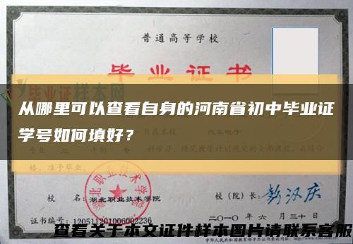 从哪里可以查看自身的河南省初中毕业证学号如何填好？缩略图