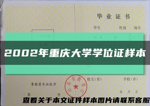 2002年重庆大学学位证样本缩略图