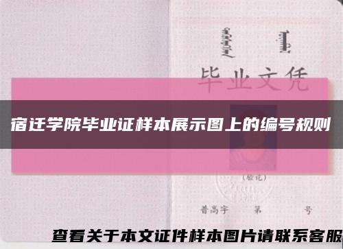 宿迁学院毕业证样本展示图上的编号规则缩略图