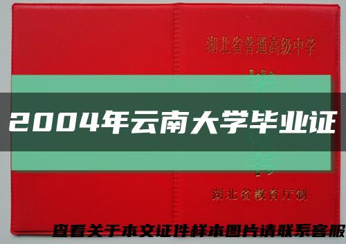 2004年云南大学毕业证缩略图