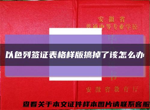 以色列签证表格样版搞掉了该怎么办缩略图