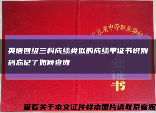 英语四级三科成绩类似的成绩单证书识别码忘记了如何查询缩略图