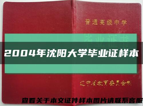 2004年沈阳大学毕业证样本缩略图