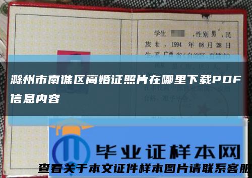 滁州市南谯区离婚证照片在哪里下载PDF信息内容缩略图