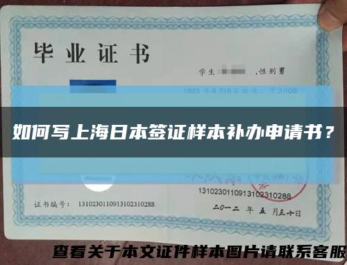 如何写上海日本签证样本补办申请书？缩略图