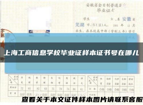 上海工商信息学校毕业证样本证书号在哪儿缩略图