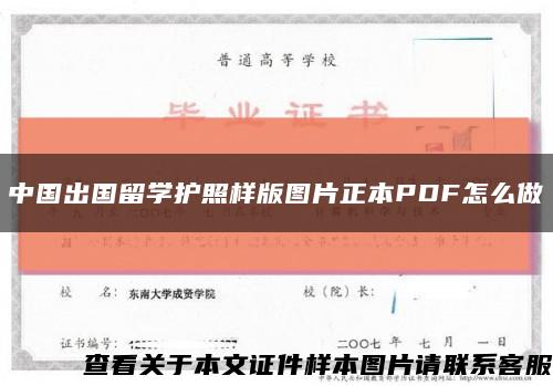 中国出国留学护照样版图片正本PDF怎么做缩略图