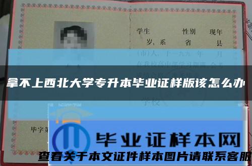 拿不上西北大学专升本毕业证样版该怎么办缩略图