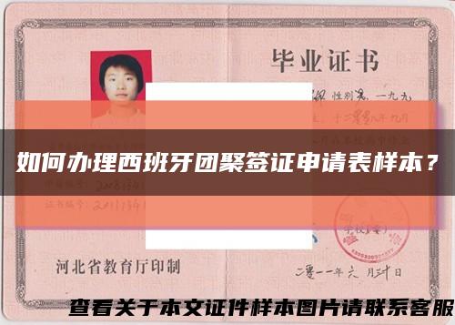 如何办理西班牙团聚签证申请表样本？缩略图