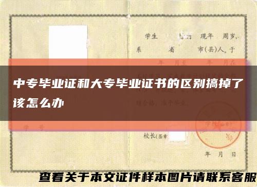 中专毕业证和大专毕业证书的区别搞掉了该怎么办缩略图