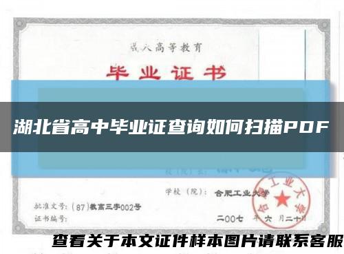湖北省高中毕业证查询如何扫描PDF缩略图