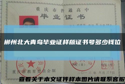郴州北大青鸟毕业证样版证书号多少钱位缩略图