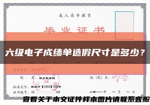 六级电子成绩单造假尺寸是多少？缩略图
