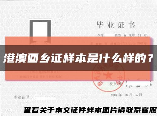 港澳回乡证样本是什么样的？缩略图