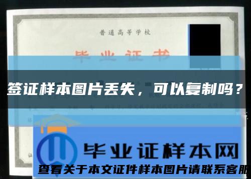 签证样本图片丢失，可以复制吗？缩略图