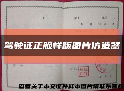 驾驶证正脸样版图片仿造器缩略图