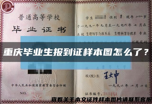 重庆毕业生报到证样本图怎么了？缩略图