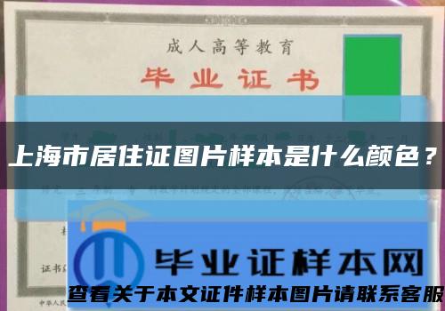 上海市居住证图片样本是什么颜色？缩略图