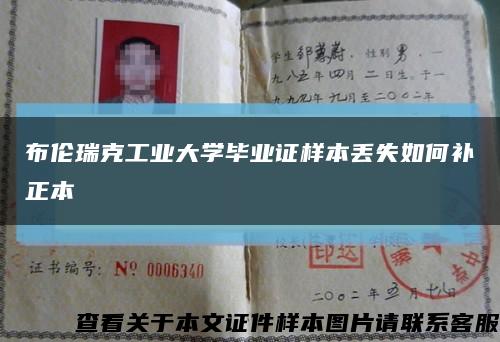 布伦瑞克工业大学毕业证样本丢失如何补正本缩略图