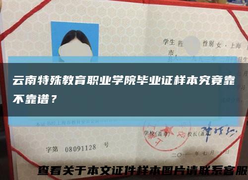 云南特殊教育职业学院毕业证样本究竟靠不靠谱？缩略图