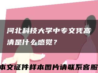 河北科技大学中专文凭高清是什么感觉？缩略图