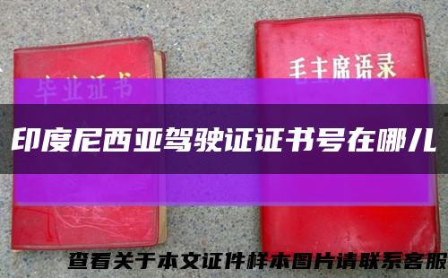 印度尼西亚驾驶证证书号在哪儿缩略图