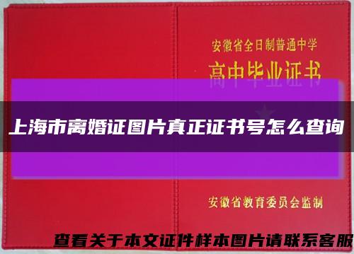 上海市离婚证图片真正证书号怎么查询缩略图