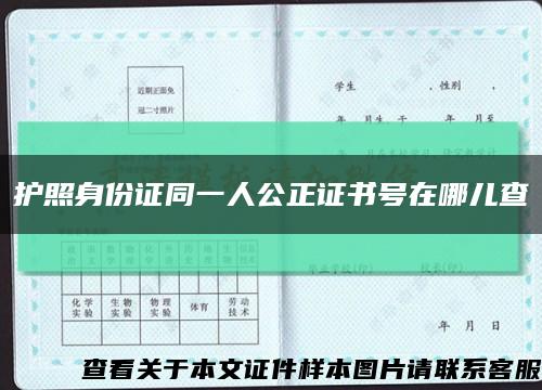 护照身份证同一人公正证书号在哪儿查缩略图