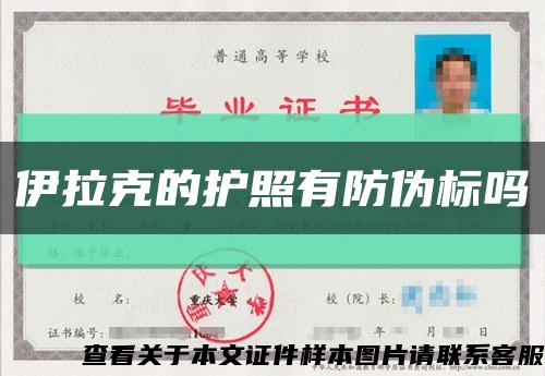 伊拉克的护照有防伪标吗缩略图