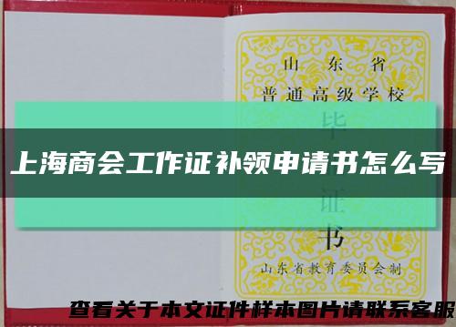 上海商会工作证补领申请书怎么写缩略图